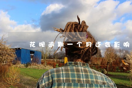 花呗逾期一个月还会影响征信吗 花呗逾期一个月还会影响征信吗