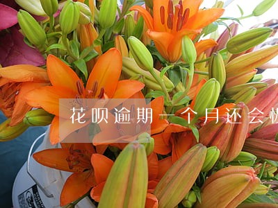 花呗逾期一个月还会恢复吗 花呗逾期一个月还会恢复吗