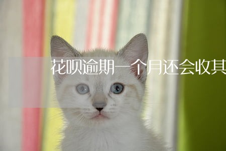 花呗逾期一个月还会收其他费用吗 花呗逾期一个月还会收其他费用吗
