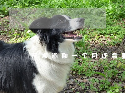 花呗逾期一个月还会查通讯录吗 花呗逾期一个月还会查通讯录吗