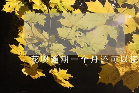 花呗逾期一个月还可以使用花呗吗 花呗逾期一个月还可以使用花呗吗