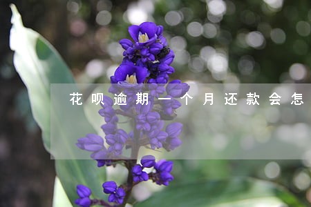 花呗逾期一个月还款会怎么样啊 花呗逾期一个月还款会怎么样啊