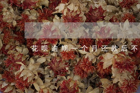 花呗逾期一个月还款后不能用了 花呗逾期一个月还款后不能用了