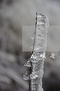 花呗逾期一个月还款后多久可以用 花呗逾期一个月还款后多久可以用