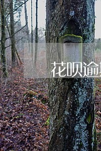 花呗逾期一个月还款后还能使用 花呗逾期一个月还款后还能使用