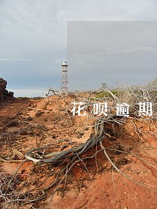 花呗逾期一个月还款和现在还区别 花呗逾期一个月还款和现在还区别