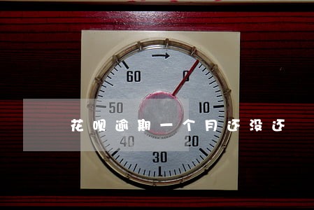 花呗逾期一个月还没还 花呗逾期一个月还没还