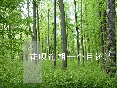 花呗逾期一个月还清了会怎么样 花呗逾期一个月还清了会怎么样