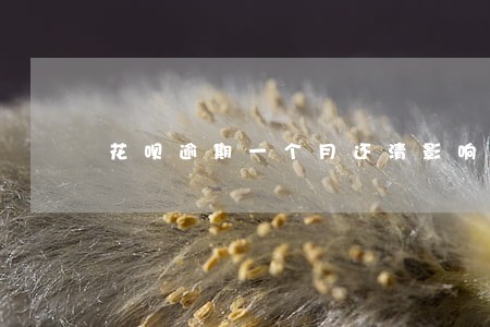 花呗逾期一个月还清影响征信吗 花呗逾期一个月还清影响征信吗
