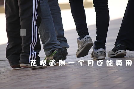 花呗逾期一个月还能再用不 花呗逾期一个月还能再用不