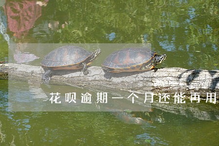 花呗逾期一个月还能再用么 花呗逾期一个月还能再用么