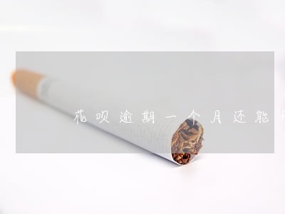 花呗逾期一个月还能开吗 花呗逾期一个月还能开吗