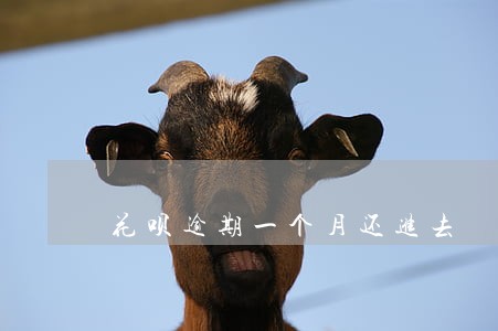 花呗逾期一个月还进去