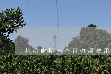 花呗逾期一个月逾期费用多少 花呗逾期一个月逾期费用多少