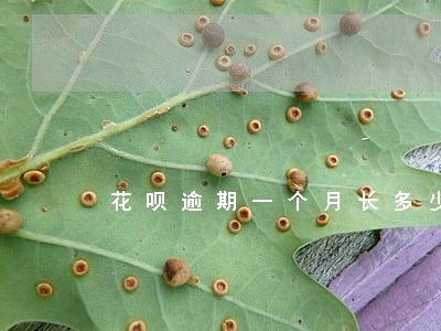 花呗逾期一个月长多少利息 花呗逾期一个月长多少利息