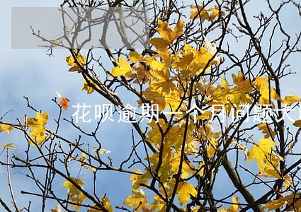 花呗逾期一个月问题大吗