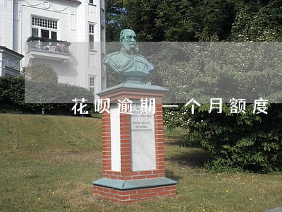 花呗逾期一个月额度