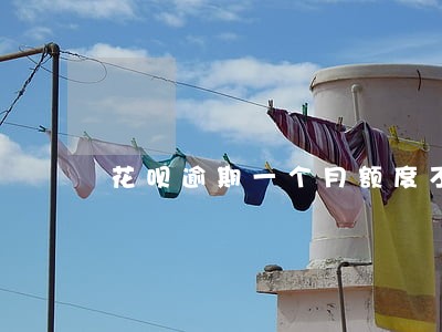 花呗逾期一个月额度不可用