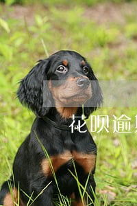 花呗逾期一二天没事吧 花呗逾期一二天没事吧