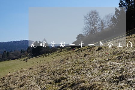 花呗逾期一千一年会上门访问吗 花呗逾期一千一年会上门访问吗