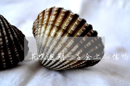 花呗逾期一千会上征信吗 花呗逾期一千会上征信吗