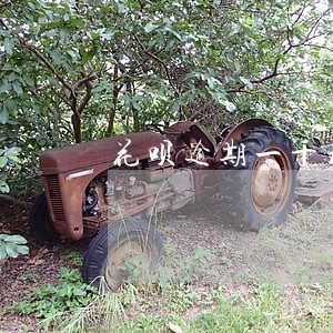 花呗逾期一千块图片 花呗逾期一千块图片
