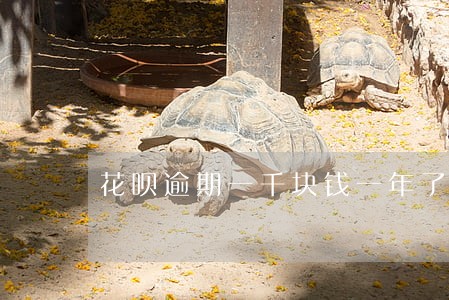 花呗逾期一千块钱一年了会上门吗 花呗逾期一千块钱一年了会上门吗