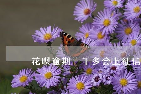 花呗逾期一千多会上征信吗 花呗逾期一千多会上征信吗