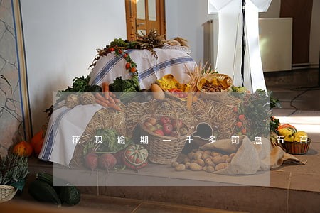 花呗逾期一千多罚息五百多