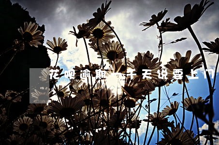 花呗逾期一千天说要上门 花呗逾期一千天说要上门