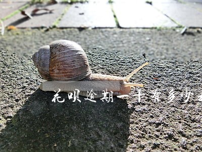 花呗逾期一千有多少利息 花呗逾期一千有多少利息