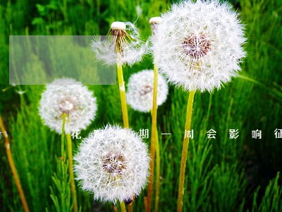 花呗逾期一周会影响征信吗