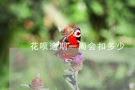 花呗逾期一周会扣多少 花呗逾期一周会扣多少