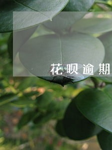 花呗逾期一周会有什么后果 花呗逾期一周会有什么后果