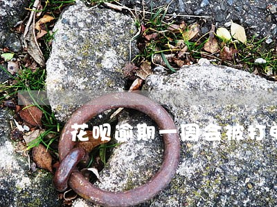花呗逾期一周会被打电话吗 花呗逾期一周会被打电话吗