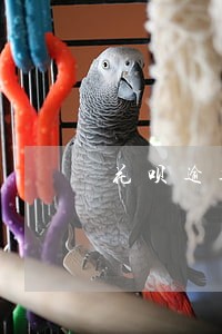 花呗逾期一周停用 花呗逾期一周停用