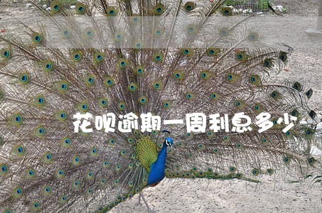 花呗逾期一周利息多少 花呗逾期一周利息多少