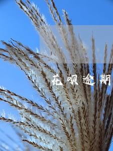 花呗逾期一周后还清有什么影响