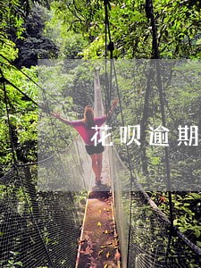 花呗逾期一周多还款多久能用 花呗逾期一周多还款多久能用