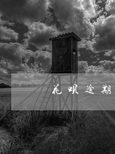 花呗逾期一周就咋了 花呗逾期一周就咋了