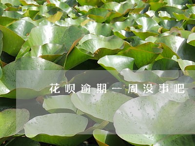 花呗逾期一周没事吧 花呗逾期一周没事吧