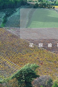 花呗逾期一周还上了 花呗逾期一周还上了