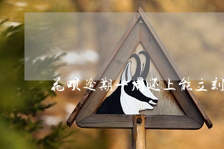 花呗逾期一周还上能立刻使用吗 花呗逾期一周还上能立刻使用吗