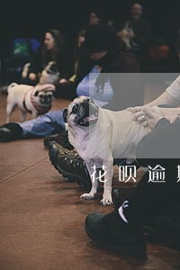 花呗逾期一天不还有什么后果