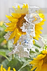 花呗逾期一天会不会有事 花呗逾期一天会不会有事