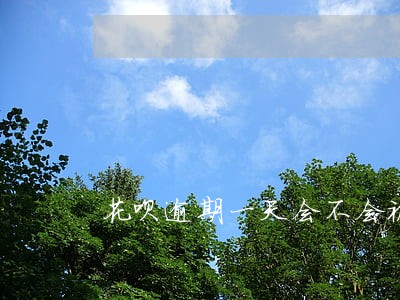 花呗逾期一天会不会被封 花呗逾期一天会不会被封