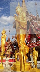 花呗逾期一天会冻结银行卡 花呗逾期一天会冻结银行卡