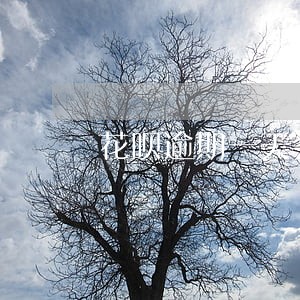 花呗逾期一天会咋办 花呗逾期一天会咋办