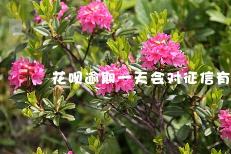 花呗逾期一天会对征信有影响吗 花呗逾期一天会对征信有影响吗