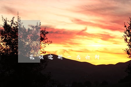 花呗逾期一天会封 花呗逾期一天会封